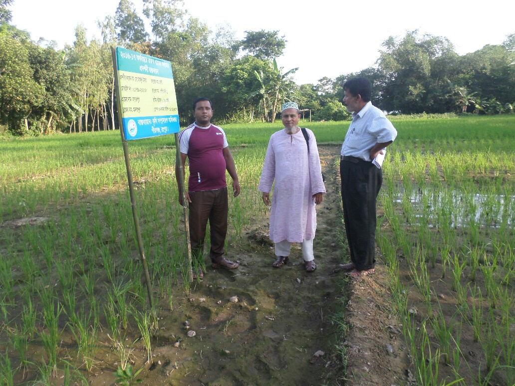 রাজস্ব প্রদর্শনী